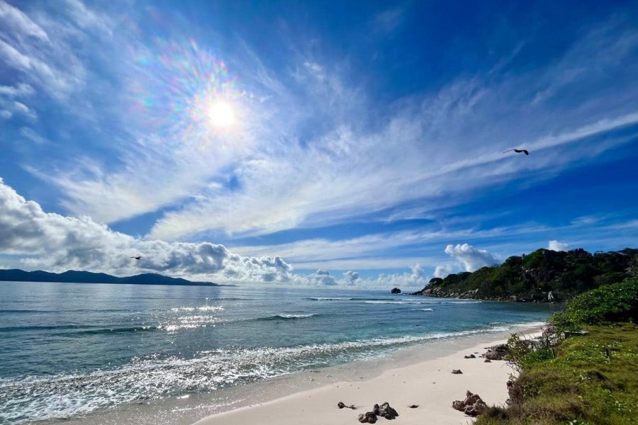 Cousine Island Seychelles