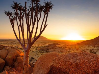 Damaraland Safari Tour