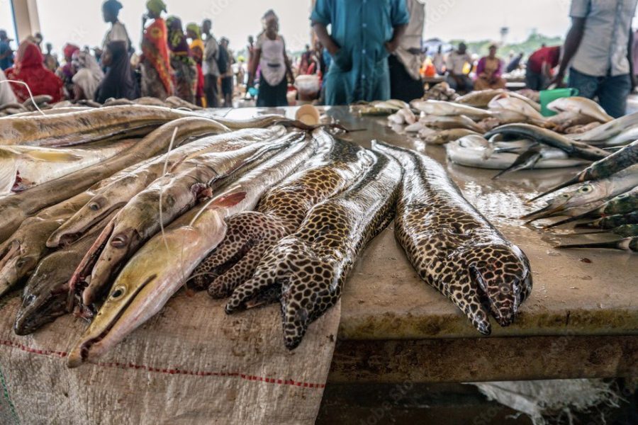 Dar es Salaam Tanzania