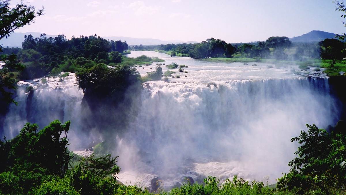 Ethiopia Fly in Safari