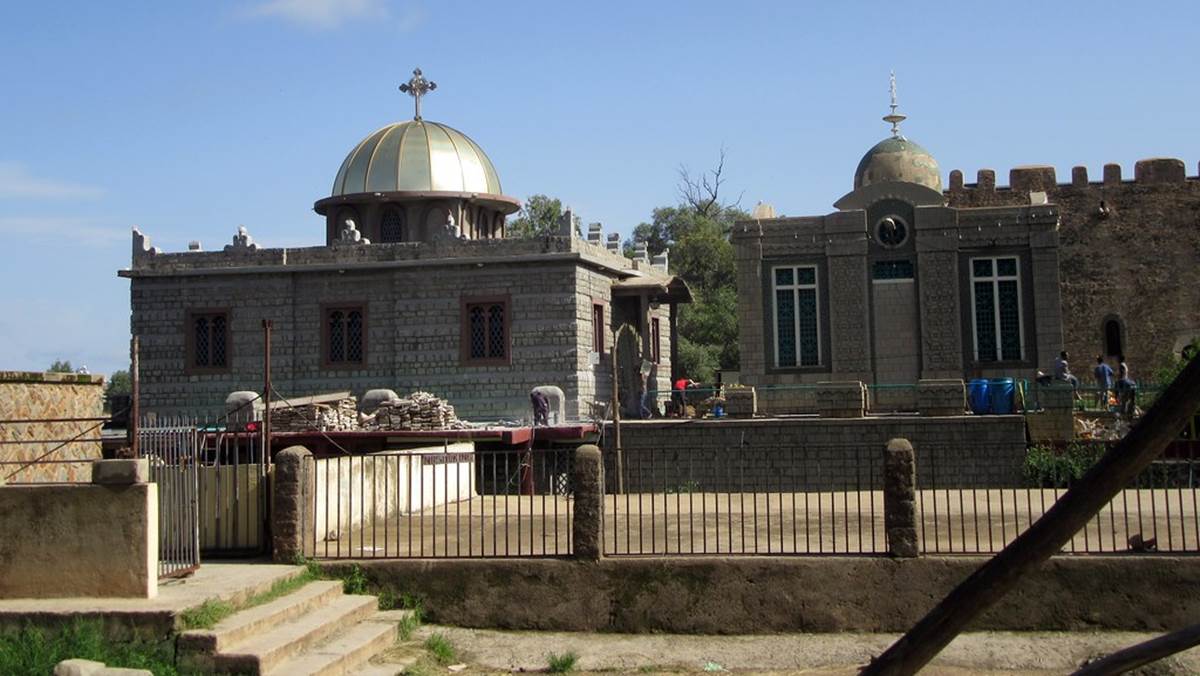 Ethiopia Fly in Safari