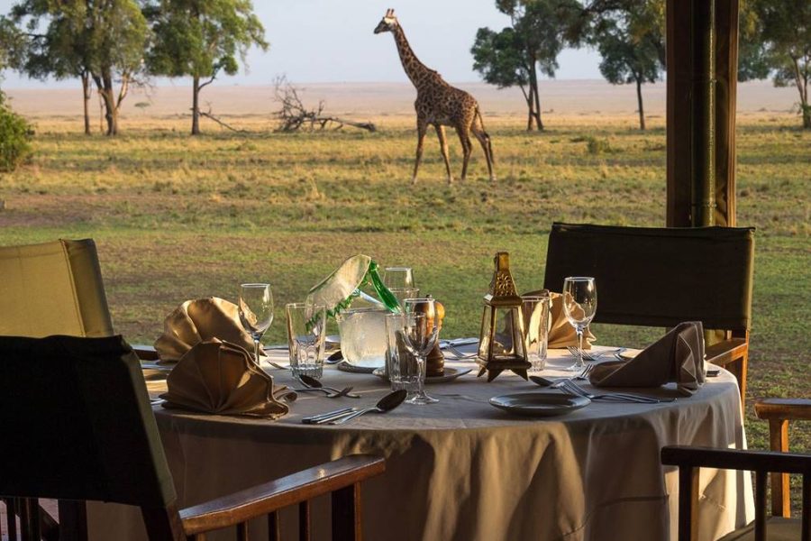 Main Governors Camp Masai mara