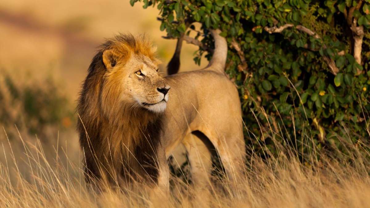 Grand Kenya Odyssey