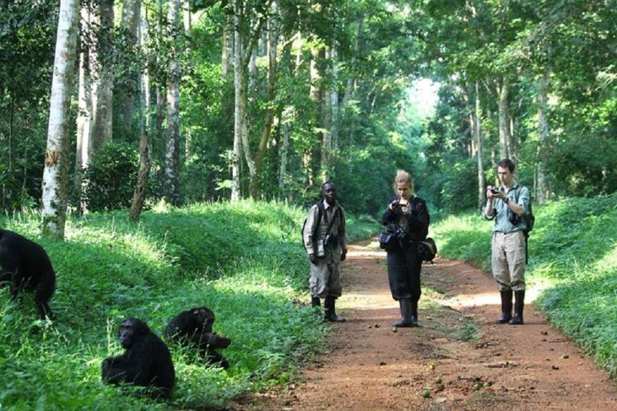 Kibale National Park