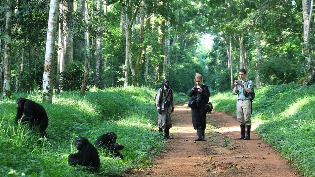 Kibale National Park