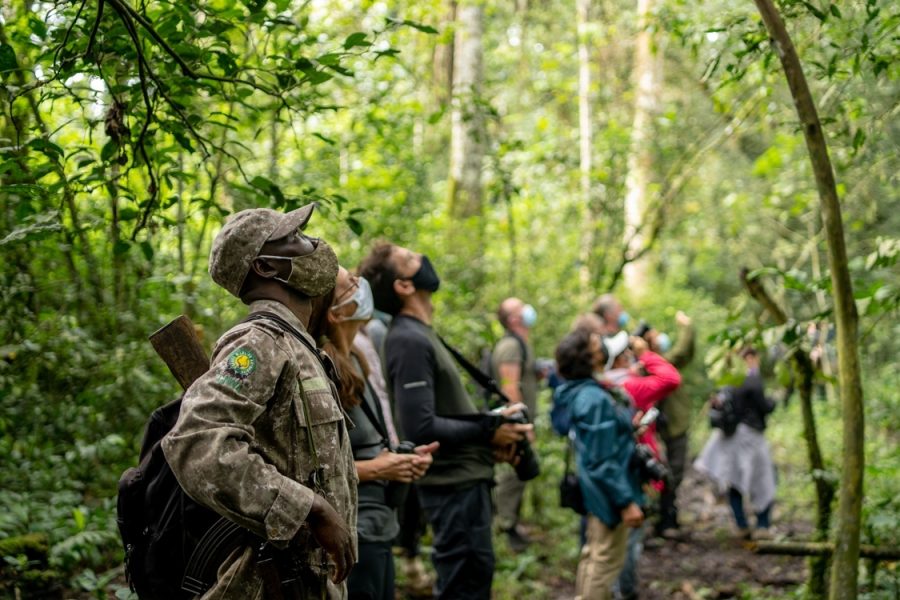 Kibale Forest National Park