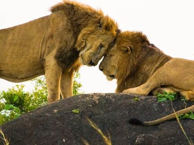 Kidepo Valley National Park