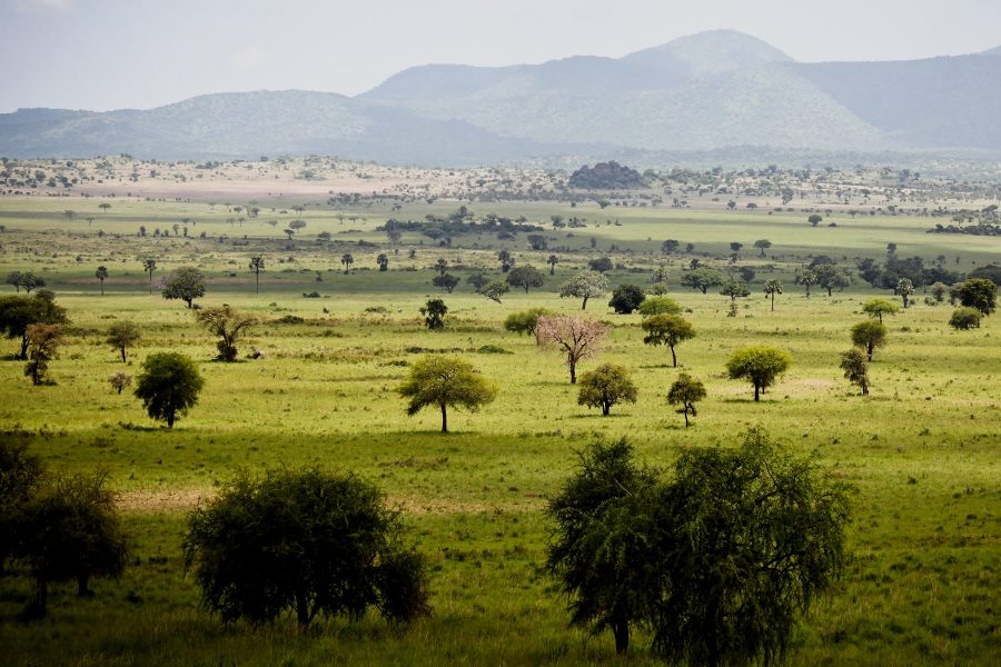 Kidepo Valley National Park