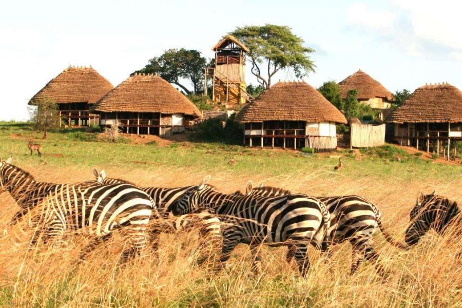 Kidepo Valley Safari