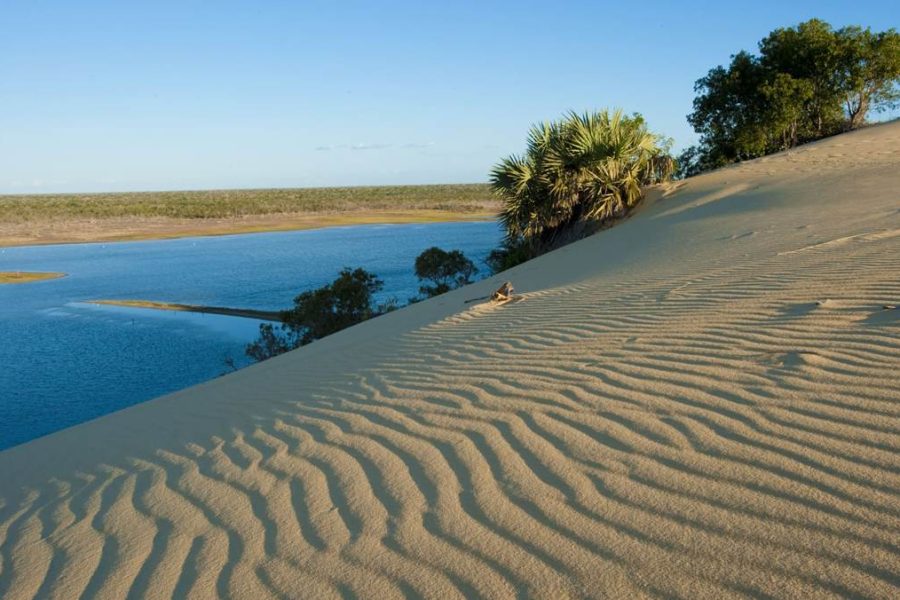 Kirindy Mitea National Park Madagascar