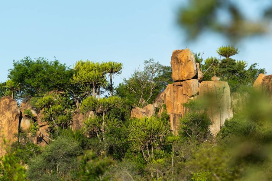 Kruger National Park