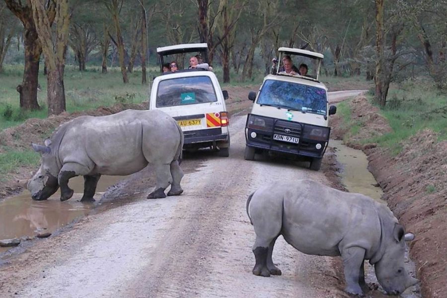 Lake Nakuru National Park