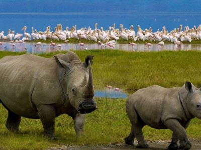 Lake Nakuru National Park