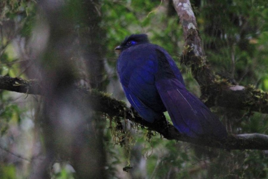 Madagascar Adventure Trip