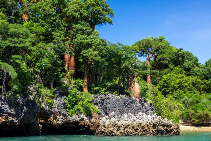 Madagascar Adventure Trip