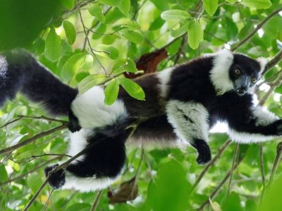 Madagascar Adventure Trip