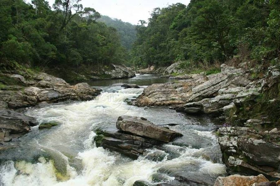 Madagascar Budget Tour