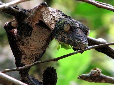 Madagascar Budget Tour