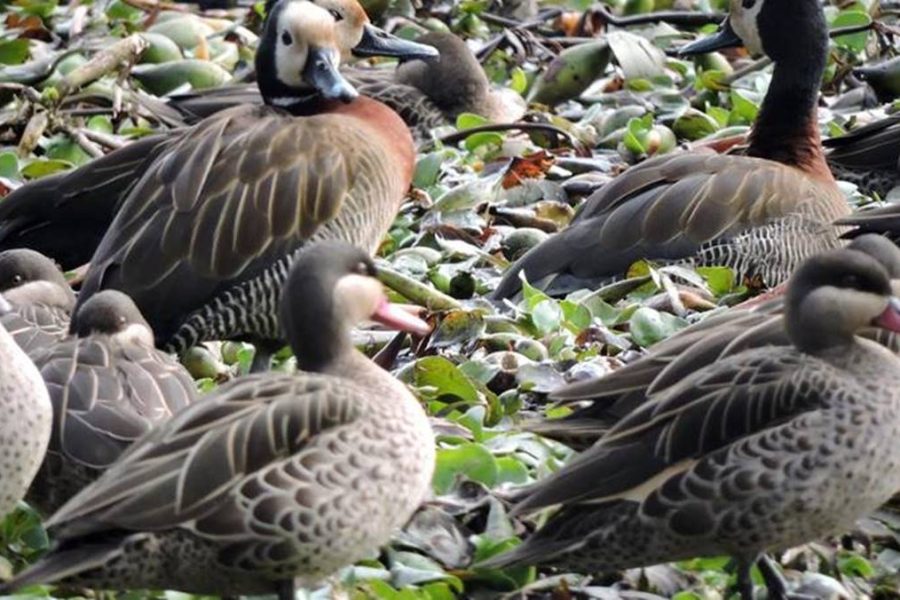 Madagascar Budget Tour