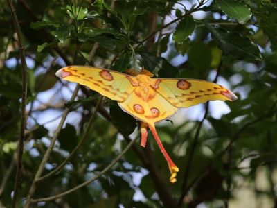 Madagascar-Safari-Trip-5 Madagascar Safari trip