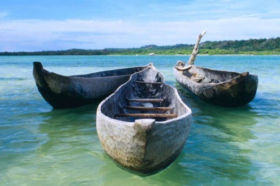 Madagascar Wildlife Tour