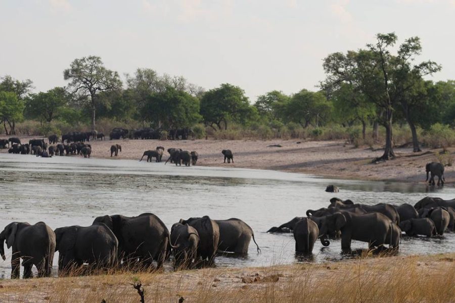 Mahango National Park