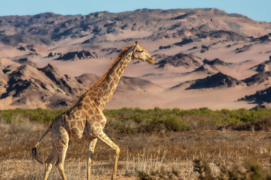 Mahango National Park