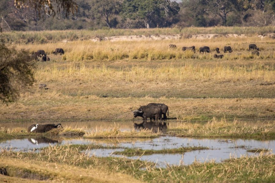Mahango National Park