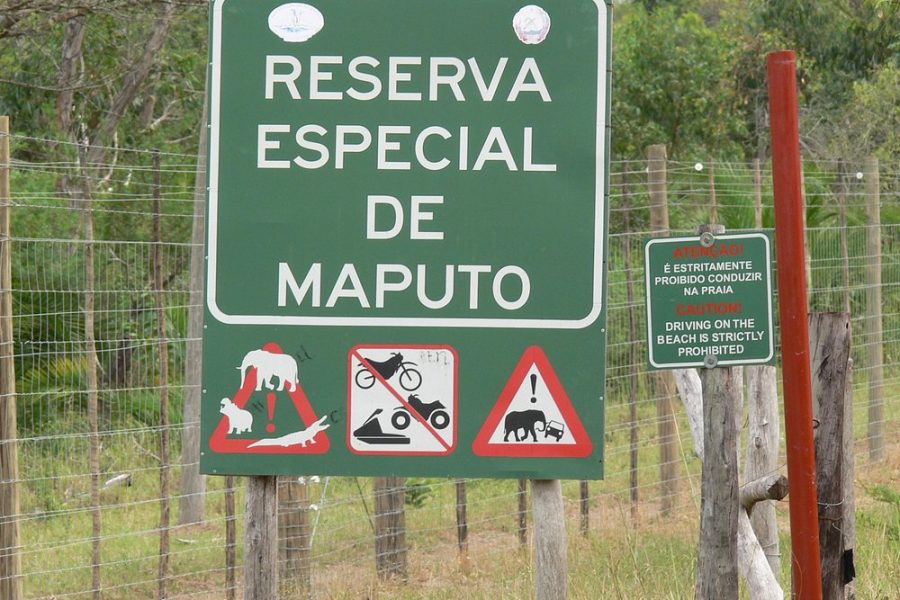 Maputo National Park Safari