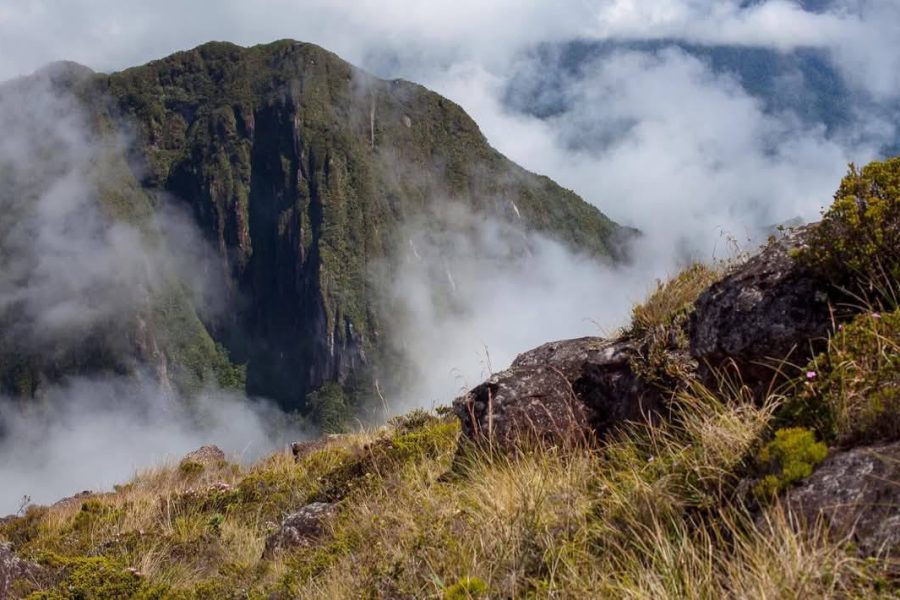 Marojejy National Park