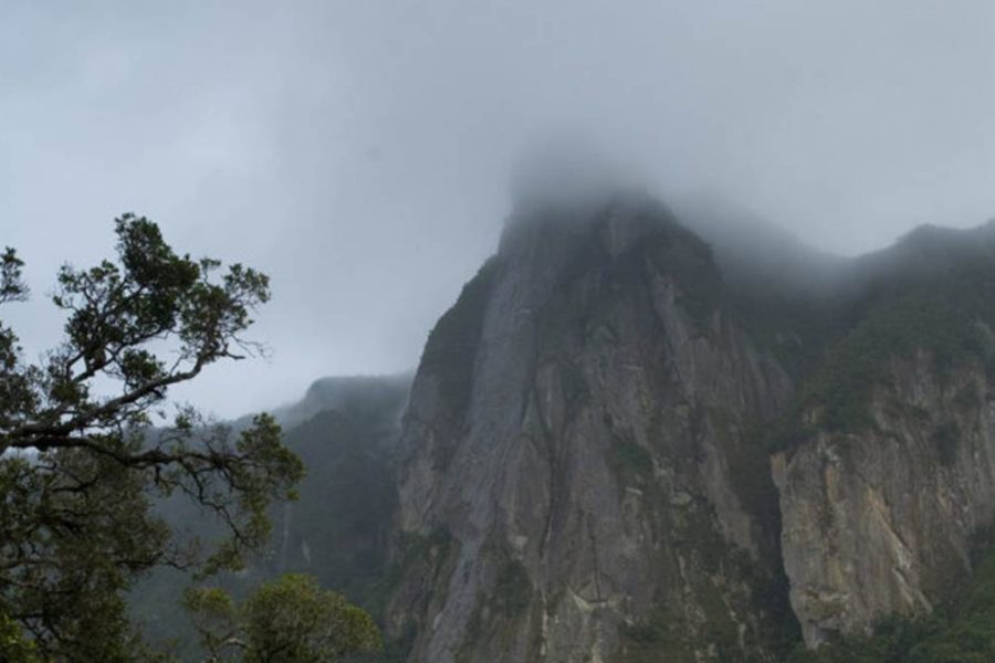 Marojejy National Park