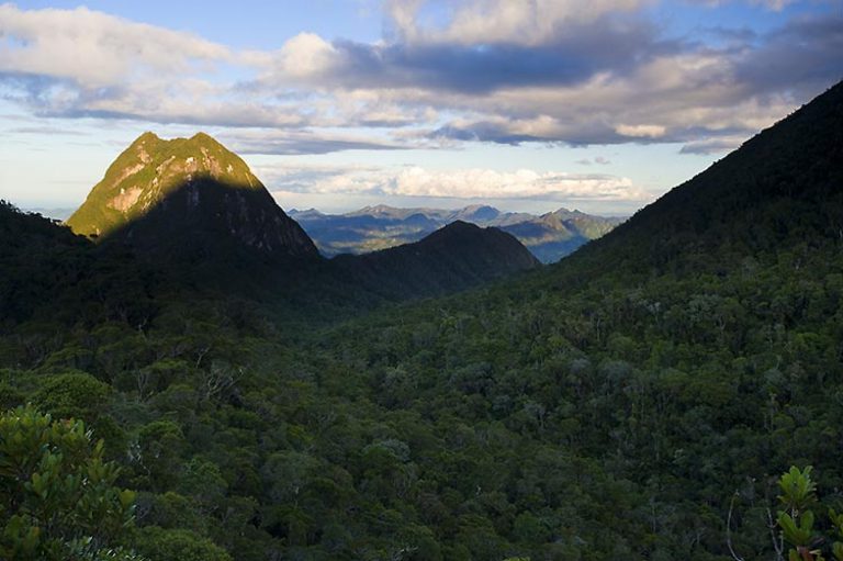 Marojejy Trekking Tour