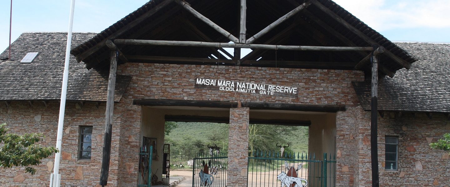 Is Masai Mara the Best Africa safari Destination