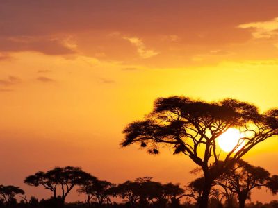 Masai Mara National Reserve