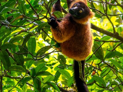 Masoala National Park
