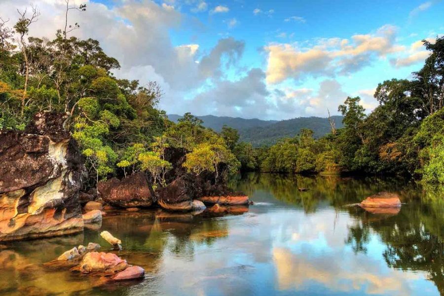 Masoala Tour Safari Madagascar