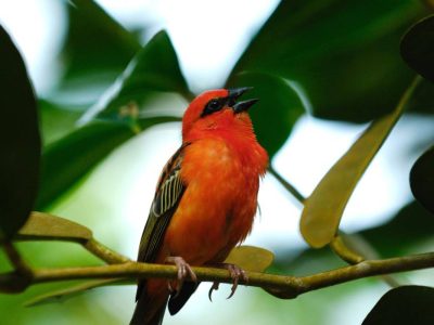 Montagne d’Ambre Tour
