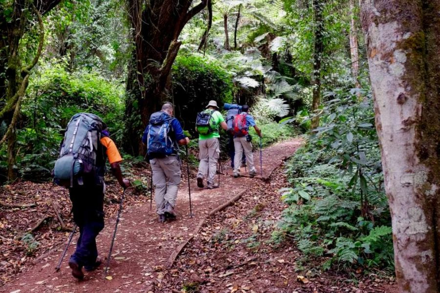 Mount Kilimanjaro National Park