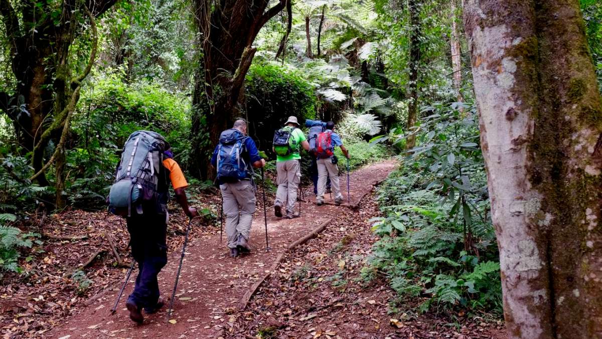 Kilimanjaro Lemosho Route