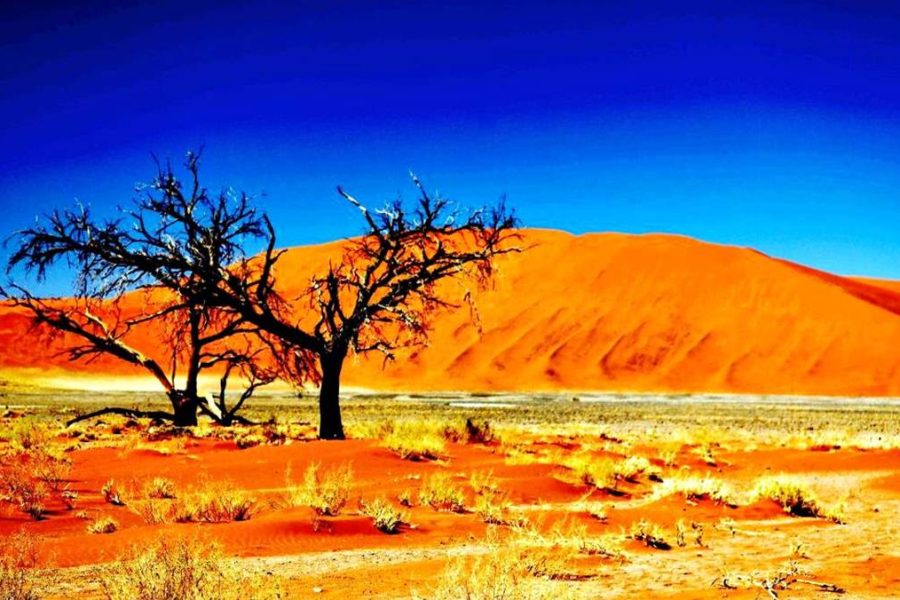 Namib-Naukluft National Park