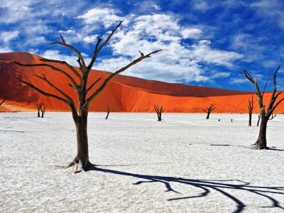 Namib-Naukluft National Park