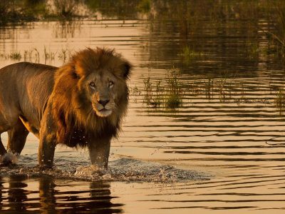 11 Day Namibia Botswaba Vacations