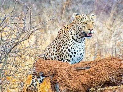 Namibia Camping Tour