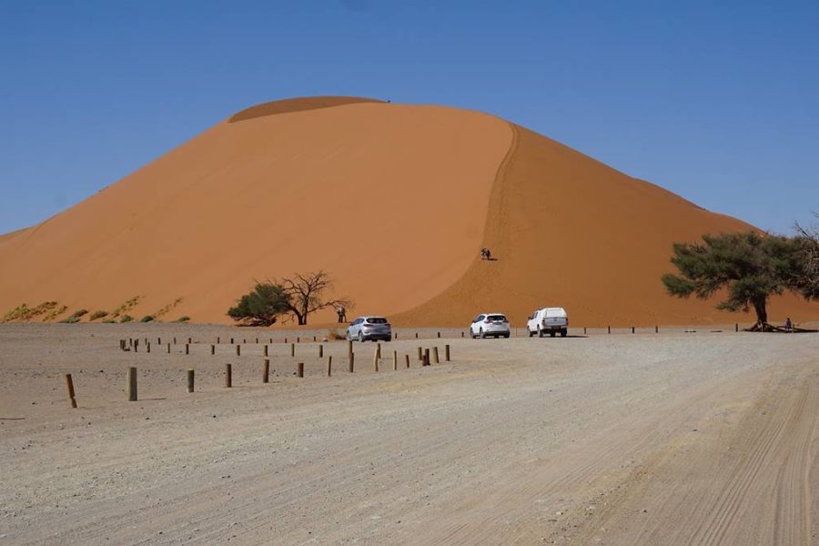 Namibia Family safari