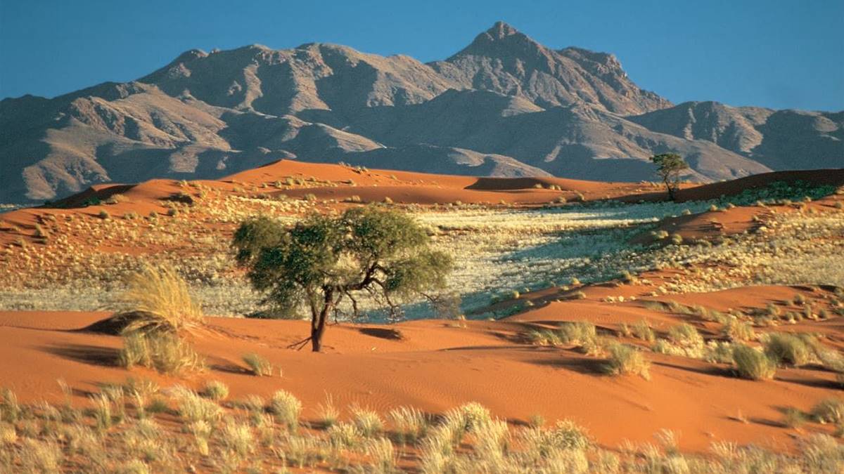 Namibia Flying Safari