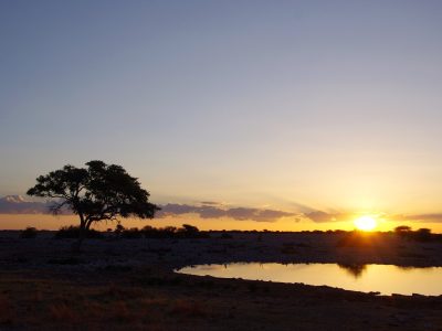 Namibia-Safari-Tour-11 Namibia Safari Tour