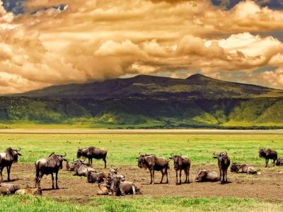 Ngorongoro Conservation Area
