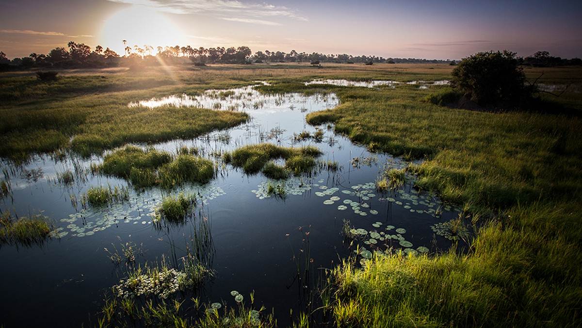 Okavango Delta Explorer safari