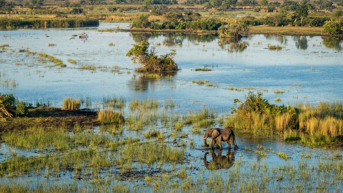Okavango Delta Safari