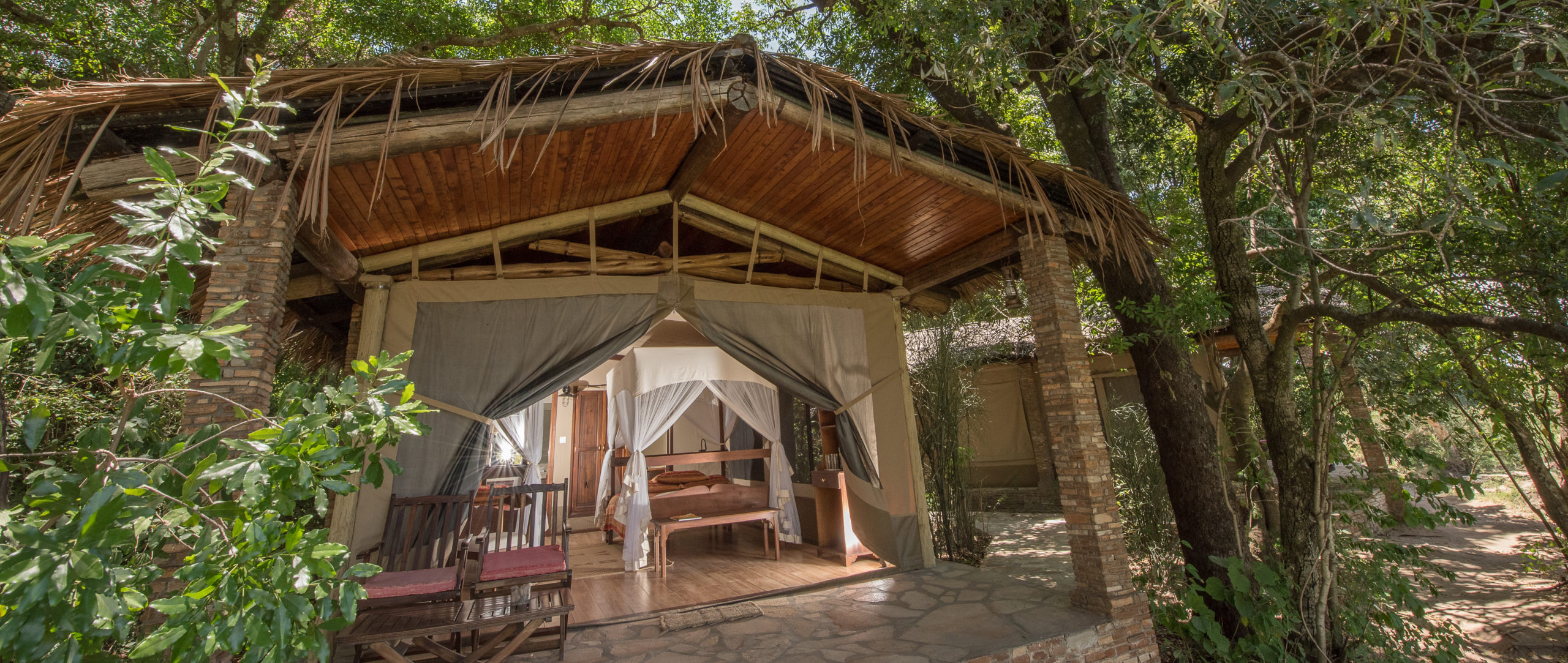 Planning a safari to Africa